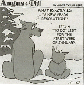 Funny-New-Year-Resolution-09