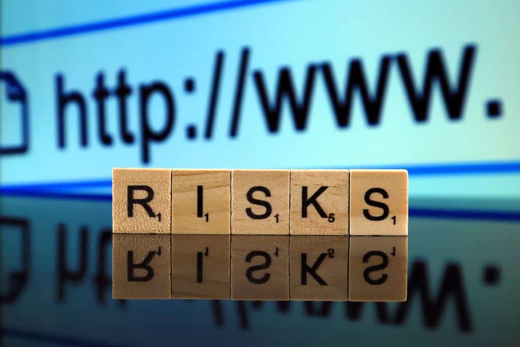 Browser Extension risk
