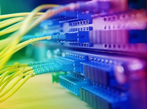 Close-up of several colorful cables connected to a server